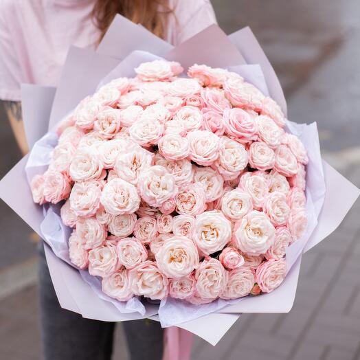 Monobucket of bush roses Bombastic