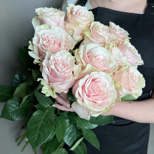 Rose Pink Mondial