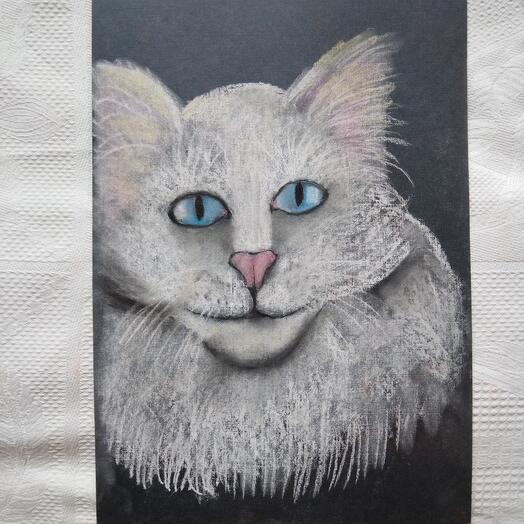 Белый кот