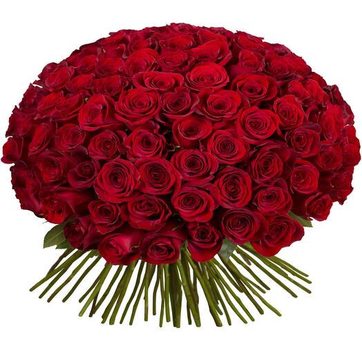 151 Red Roses Bouquet