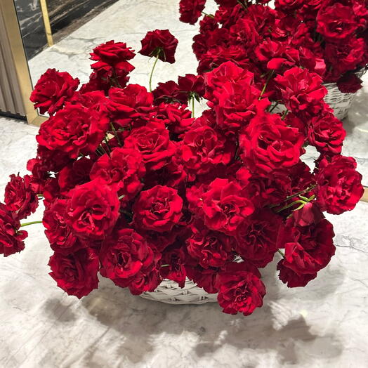 101 Red roses in a Basket