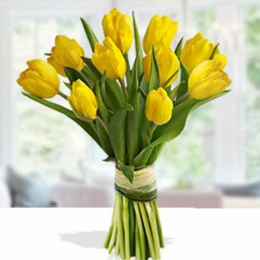 11 Yellow Tulip Bunch