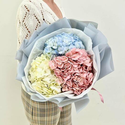 Букет живых цветов из гортензии 3 шт