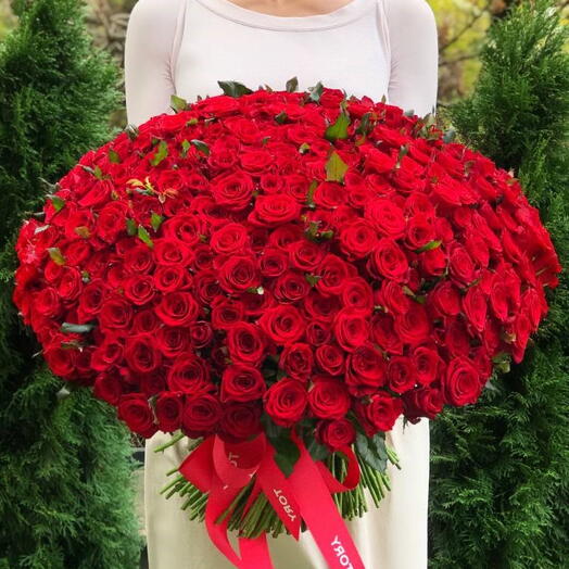 300 Red Roses Bouquet