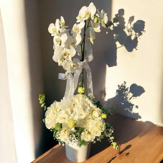 2-branch white orchid and white lisianthus arrangement