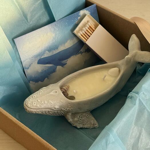 Vela de ballena perfumada con set de regalo de aroma marino
