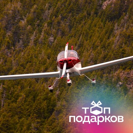 Подарочный сертификат Рассказ об управлении самолетом и полет на Tecnam P2002, 1 чел. (20 мин.)