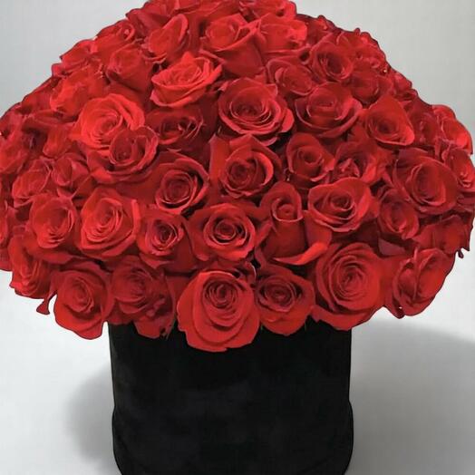 Red roses in a box