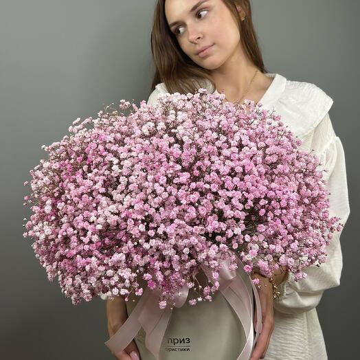 Композиция из розовой гипсофилы