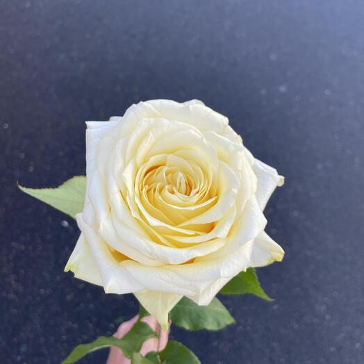 Ok flowers