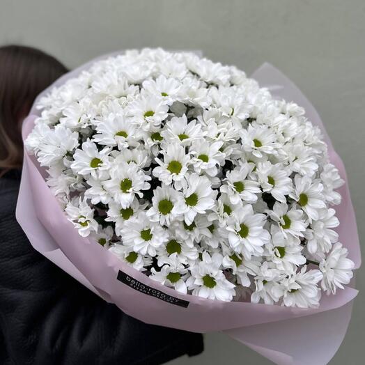 Большой букет из ромашковой хризантемы