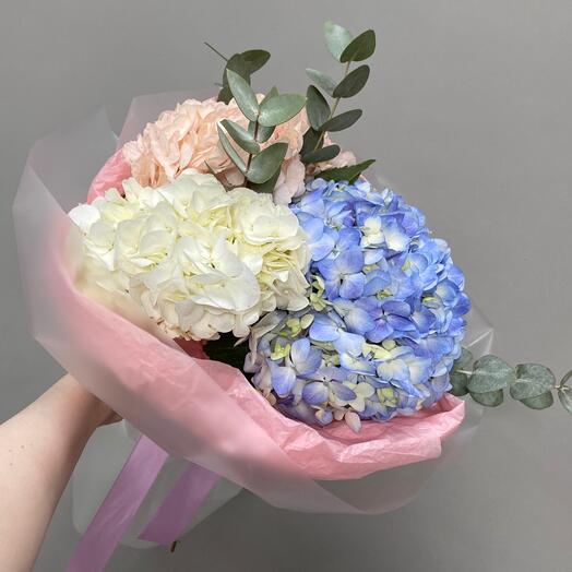 Три разноцветные гортензии в упаковке