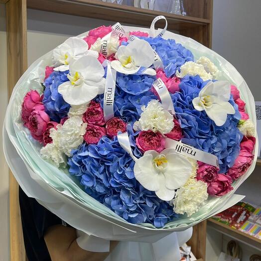 Северное сияние