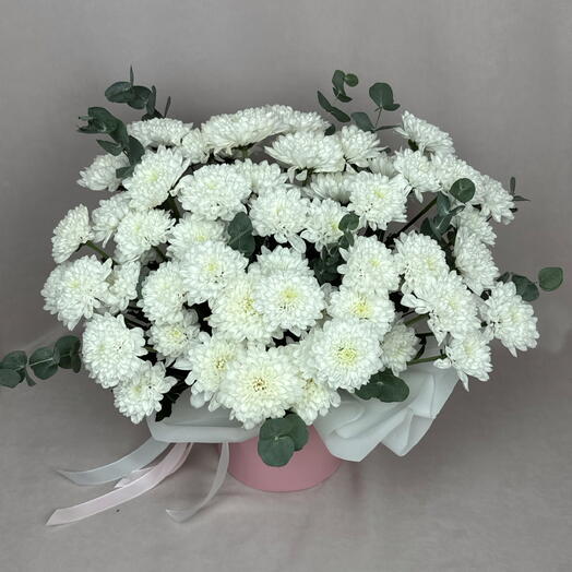 INBLOOM