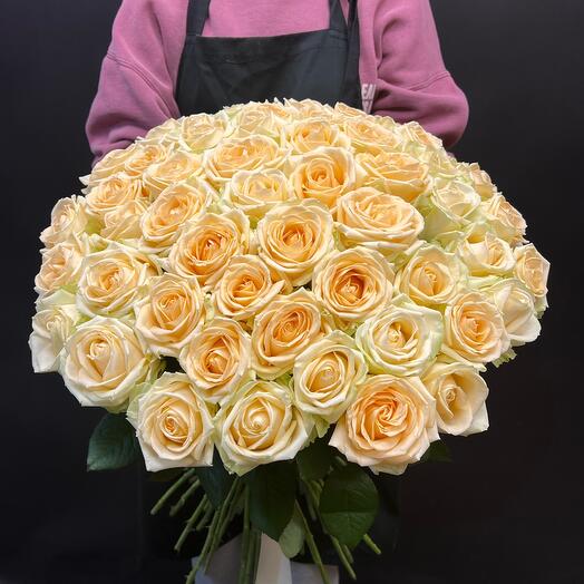 Rosa Peach Avalange