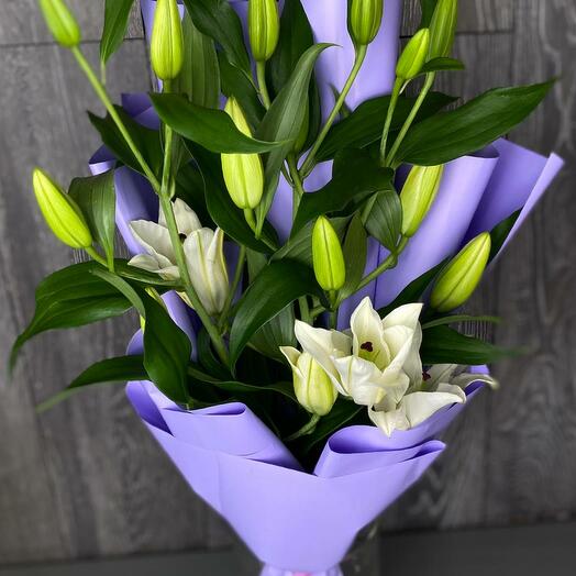 Lily