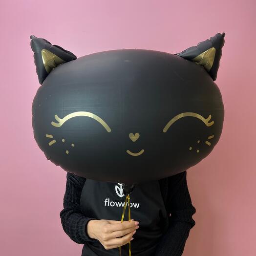 Кошечка