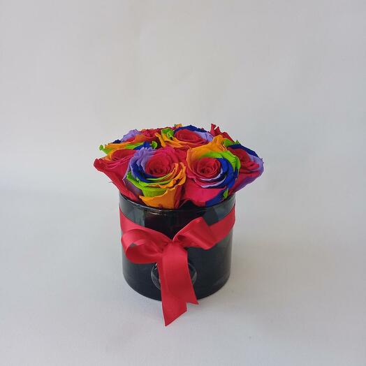 Preserved Rainbow colour roses