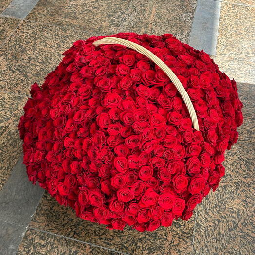 501 red rose