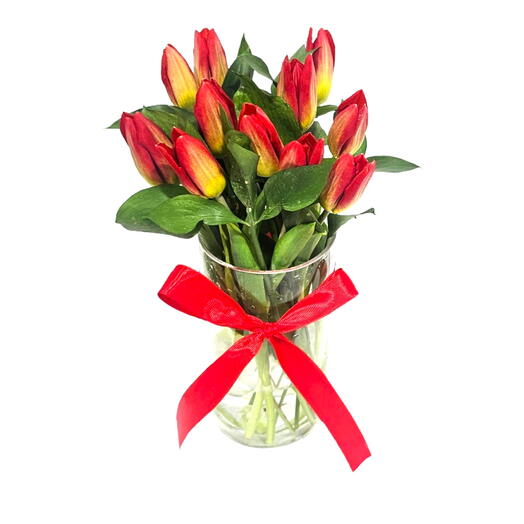 11 Red Tulip Vase