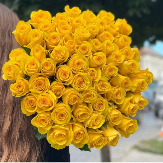 Yellow rosa