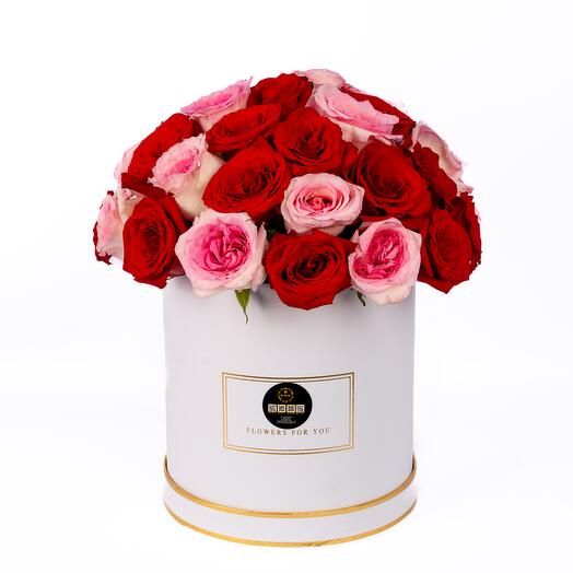 51 Premium Red and Pink Rose Box