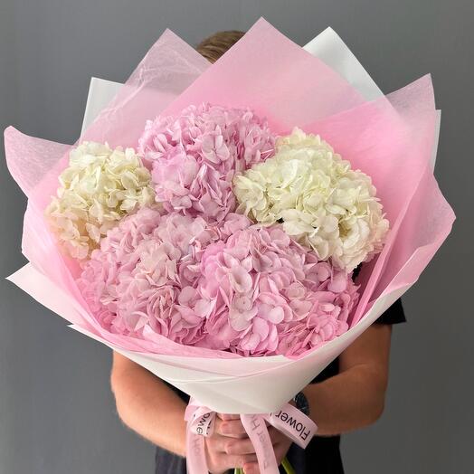 Pink and White Hydrangeas