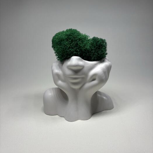 Кашпо с стабилизированным мхом Мечтательница