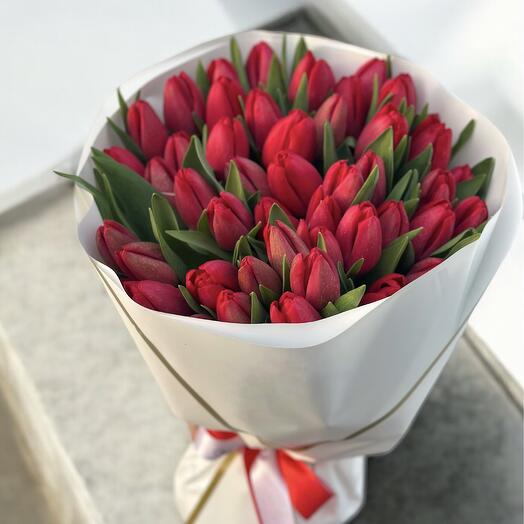 50 red tulips in white wrapping