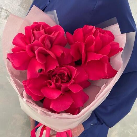 WOW mono rosa Francesa 3pcs