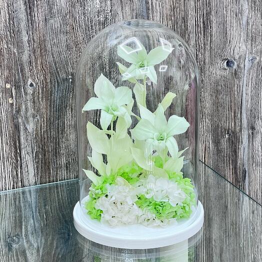 Композиция букет «Орхидейная гармония» из стабилизированных орхидей в колбе - живет 5 лет! 32 см