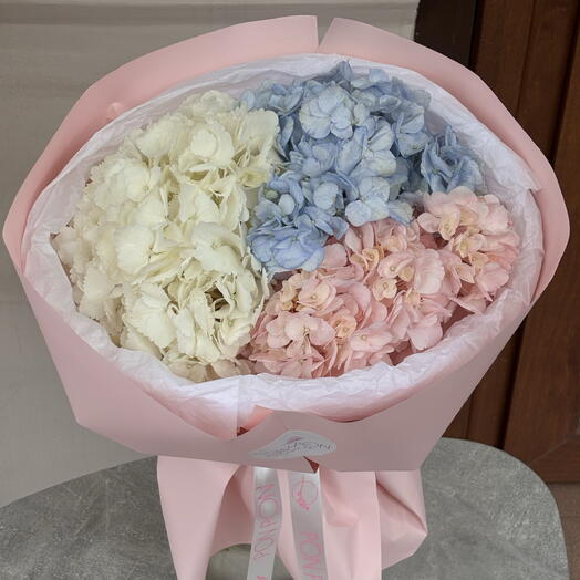 Pon Pon Flowers