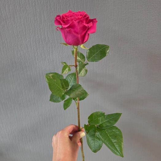 Duty Free Flowers на Маяковского