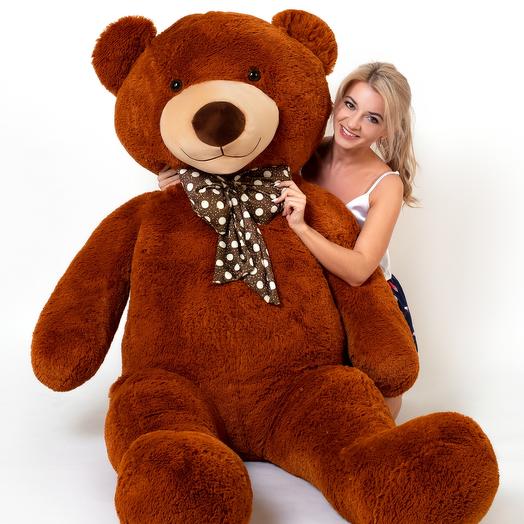Large chocolate teddy bear 200cm