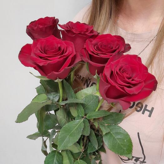 Роза красная под ленту