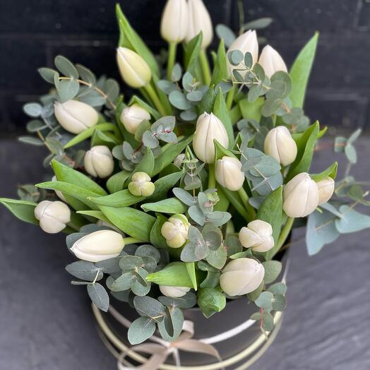 White tulips in a Box