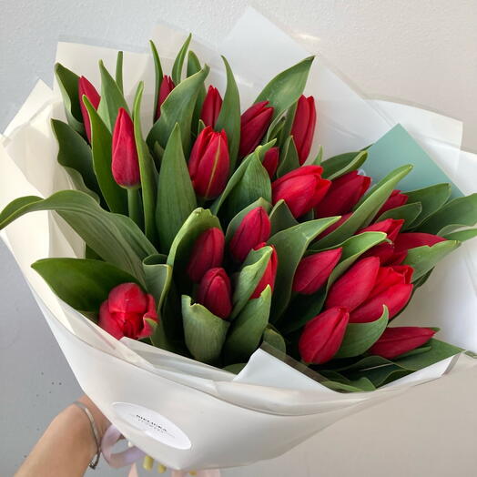 Red tulips