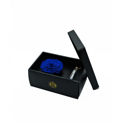 Blue Infinity Rose in a Signature Box with a Message Bottle