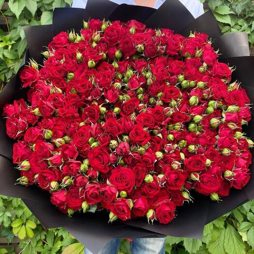 Bouquet of red bush roses