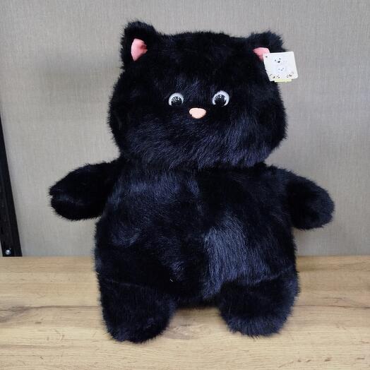 Чёрный кот размер M