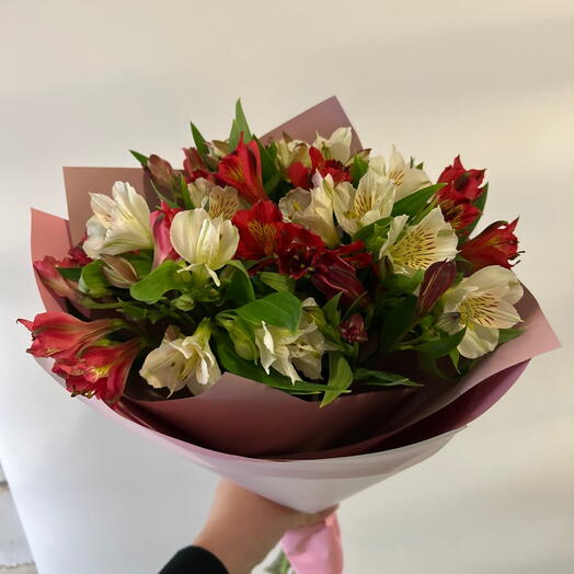 Terra flowers 