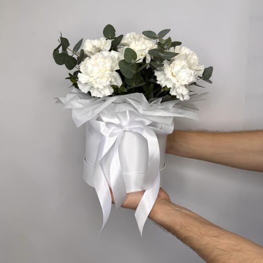 Vivat Flowers