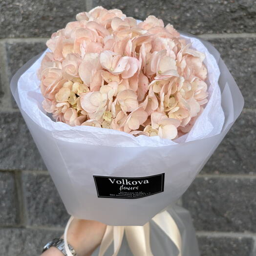 Volkova flowers