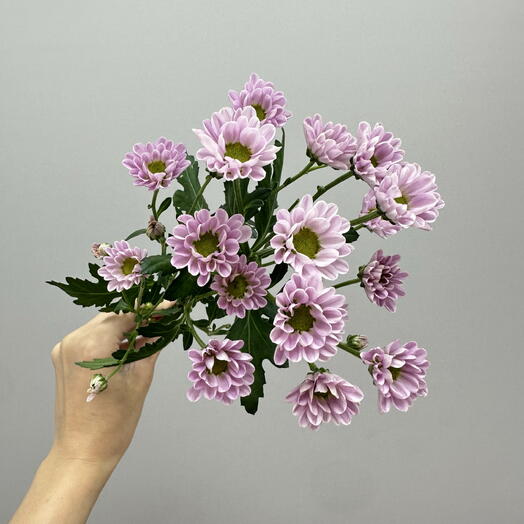 Boom Bouquet