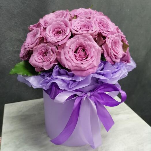 Merry (roses of the Maritim variety)