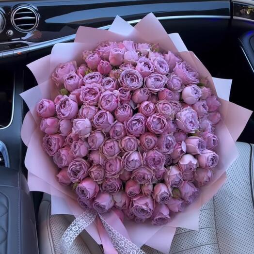 The most delicate purple roses Lavender Bubbles