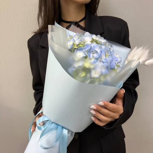 A compliment from hydrangea