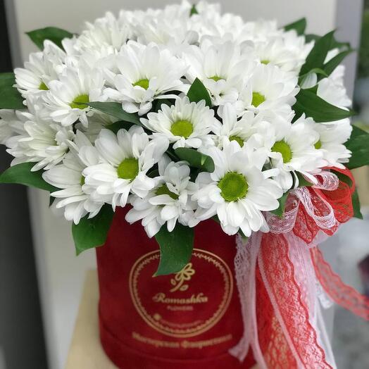 Romashka flowers