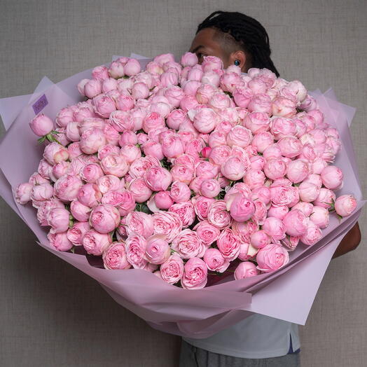 51 Pink Premium Peony Roses