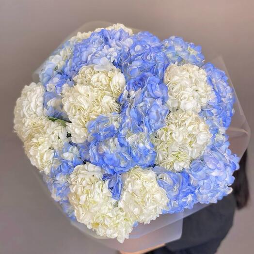 Букет из 25 гортензий💙